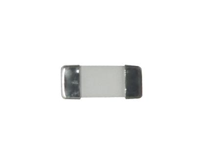 Imagen de SP-300 Fuse, CCF1NTE1.6 - 22555109