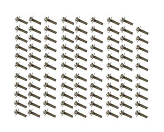 Picture of SC-545ex Screw Set, Pan M2.3*8 NI+PW (100 pcs) - 31089121AS