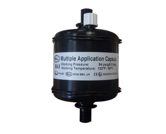 Picture of Arizona Capsule Filter Black 10 micron Jaco
