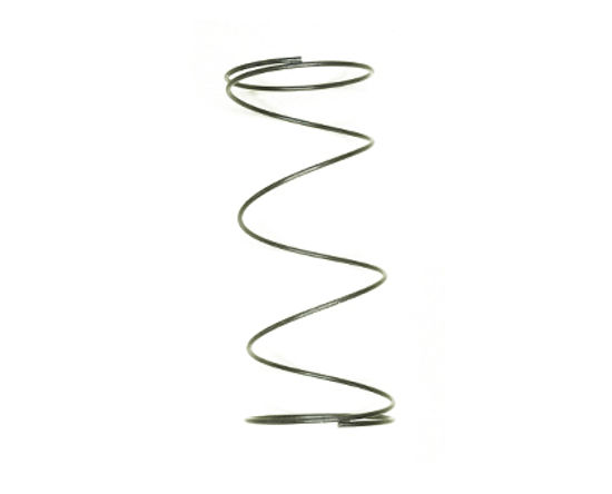 Picture of Mimaki DX5 Cap Spring - M800864