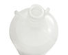 Image de PALL Small Capsule Filter White 6 micron - SCF3111J060