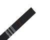 Image de JV5-160S Y Drive Belt 5 - M800885
