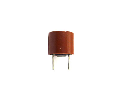 Immagine di QS2000 Fuse 2.5A TR5 Fast Acting - P5884-A