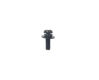Immagine di JV3 Screw - P3x8 SMW
