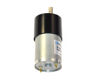 Immagine di Teckstar-25 Pump Motor