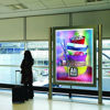Immagine di HP Backlit Polyester Film - 1524 mm x 30.5 m (60"x100')
