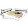 Immagine di HP Bright White Inkjet Paper , A1 - 594 mm x 45.7 m (23.4" x 150')
