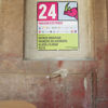 Picture of HP Everyday Matte Polypropylene, 2-Pack -  914 mm x 61 m (36" x 200')