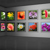 Immagine di KODAK Premium Rapid-Dry Photographic Lustre Paper  - 1118 mm x 30.5 m (44" x 100')