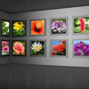 Bild von KODAK Premium Rapid-Dry Photographic Lustre Paper - 610 mm x 30.5 m (24" x 100')