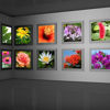 Bild von KODAK Rapid-Dry Photographic Satin Paper 190g (8 Mil) - 610 mm x 30.5 m (24" x 100')