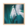 Picture of DIGIMEDIA PE Satin Canvas - 1372mm x 45.72m (54in x 150ft)