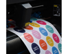 Immagine di Summa S1 D60 Drag Cutter