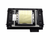 Bild von Epson XP600 DX11 Printhead - F1080-A1 / FA09121 / FA09xxx